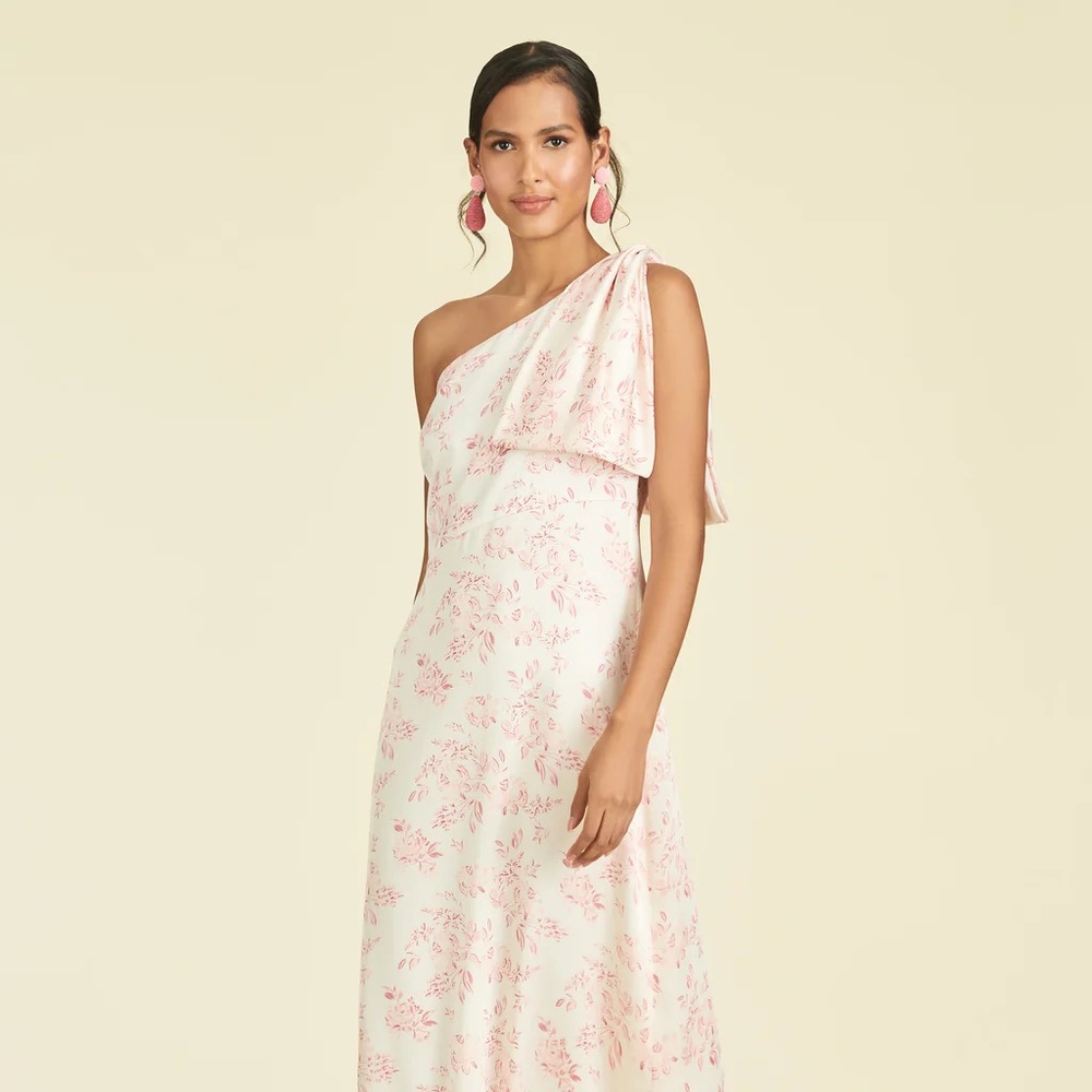 SACHIN & BABI Chelsea Gown in rouge rose water color size 14